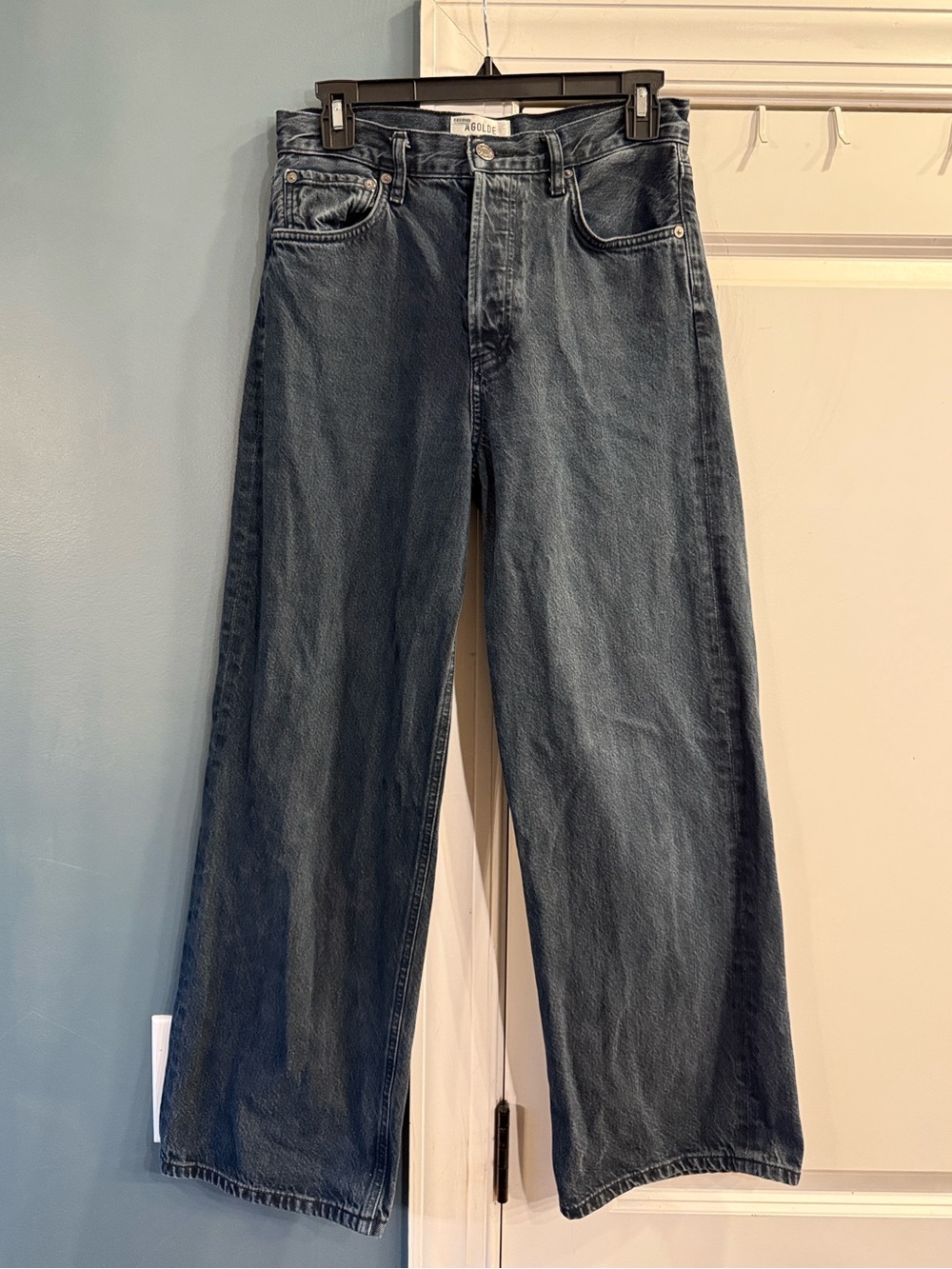 Agolde Ren Wide Leg Cropped Jeans 27x27